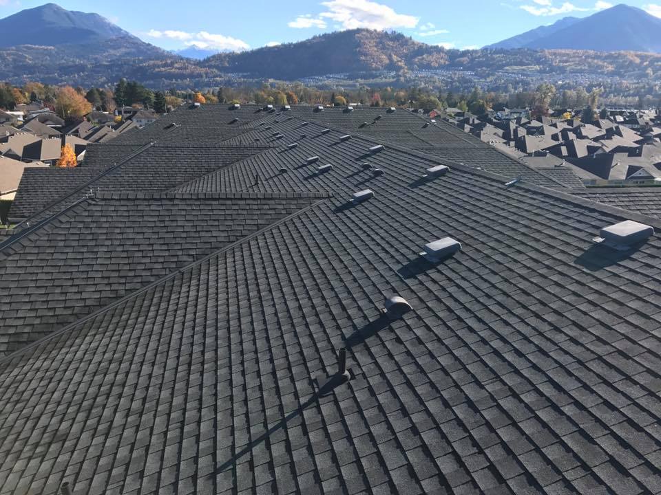 roof cleaning Abbotsford