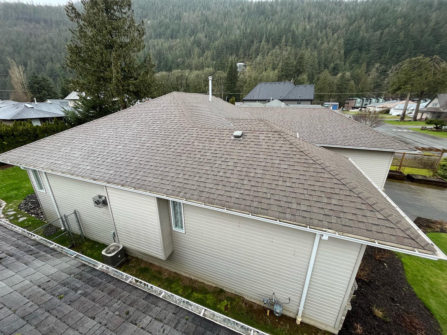 roof moss removal Agassiz